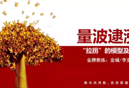 量学大讲堂金城李亚民量学擒龙伏击龙头第51期+量学14段位课-静思博客