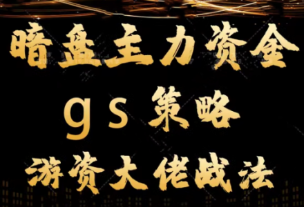 平民翻身暗盘主力资金 gs策略方法 游资大佬战法教学视频-静思博客