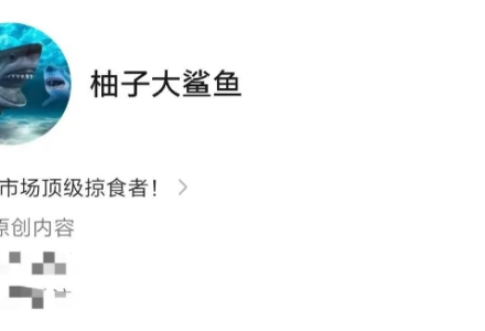 柚子大鲨鱼炒股直播课程-静思博客