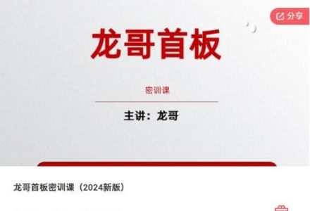 飞龙游资团龙哥首板密训课(2024新版)-静思博客