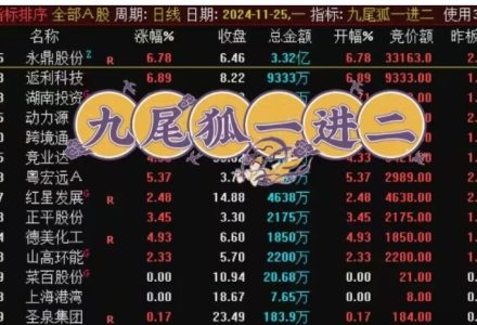 【指标】九尾狐竞价排序指标,早盘擒龙专用-静思博客