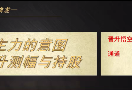 射手擒龙20250711主力的意图-主升测幅与持股-静思博客