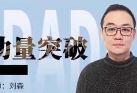 刘森 期货标准动量突破培训视频课程-静思博客
