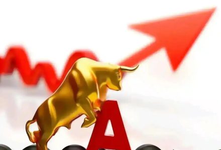 炒股,从右到左:少数人养成记- 火烈鸟-静思博客