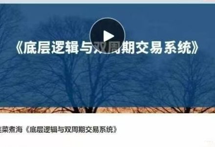 韭菜煮海《底层逻辑与双周期交易系统》音频课-静思博客