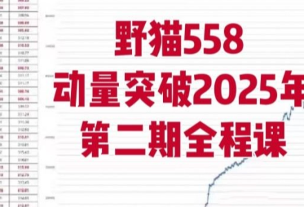 野猫558动量突破2025年第二期全程课-静思博客