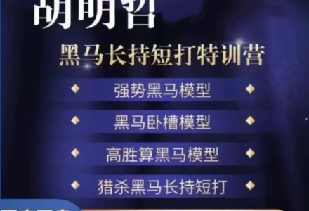 胡明哲-黑马长持短打特训营，长持短打交易模型-静思博客